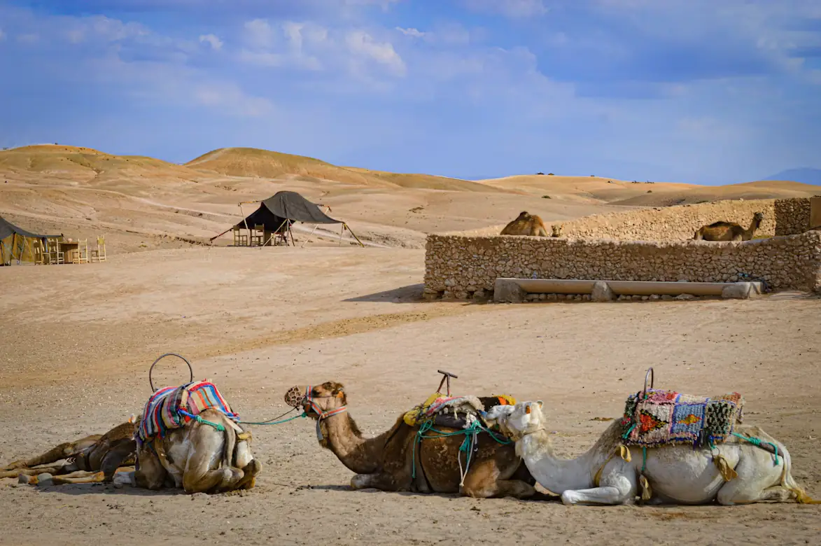 Marrakech, Coastal Charm & Desert Dunes