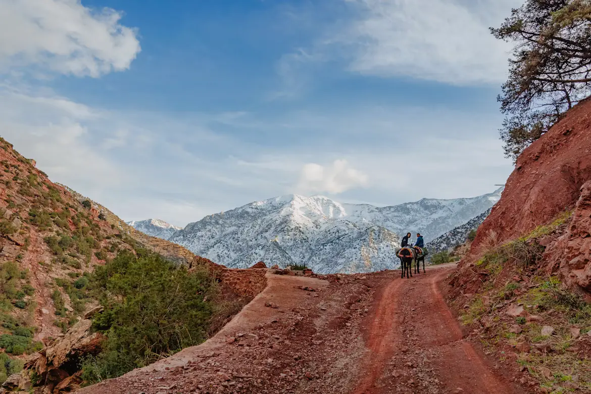 Marrakech & the High Atlas Peaks